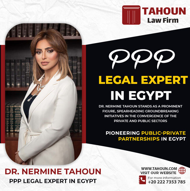 ppp legal expert in Egypt